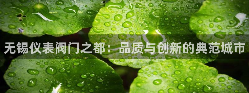 新宝gg娱乐-上鼎狐网