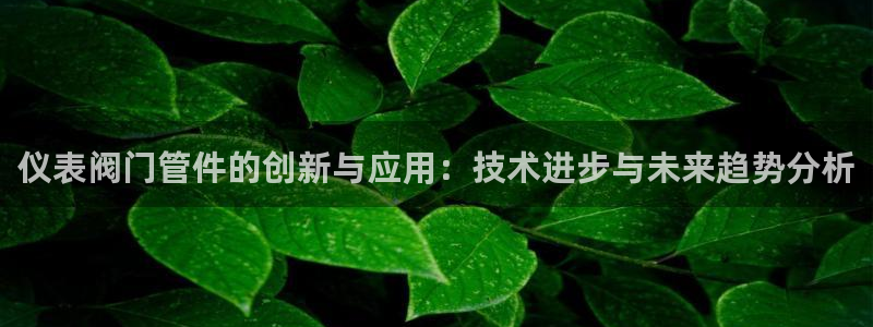 新宝gg平台开户