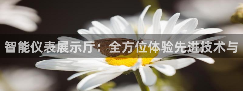 新宝gg8