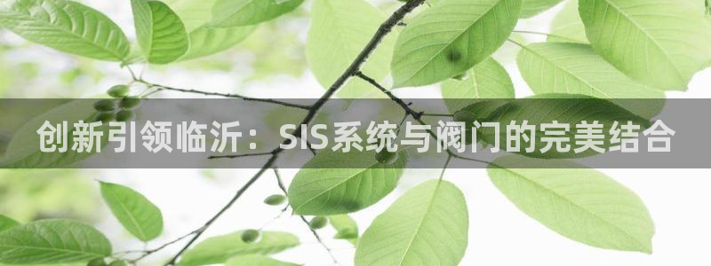 c新宝GG