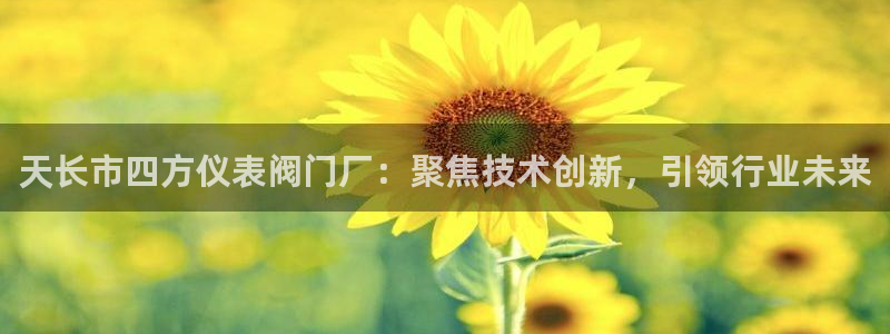 新宝gg招商