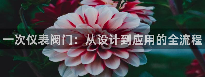 新宝给gg