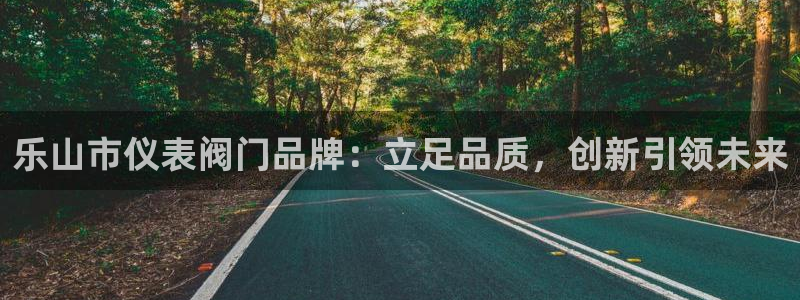 新宝 gg 登