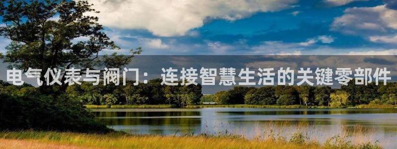 新宝gg试玩