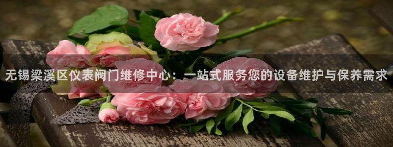 新宝gg官网