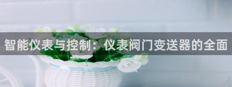 新宝gg注