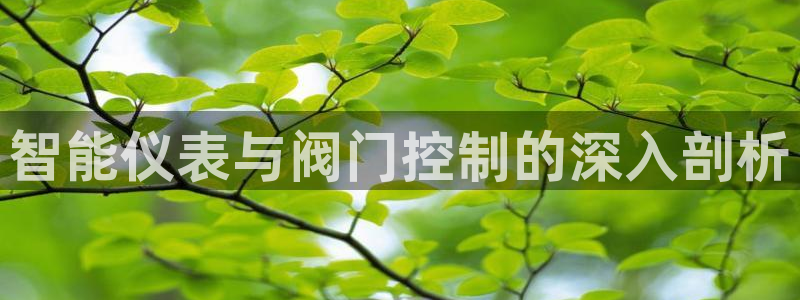 新宝gg首页平台