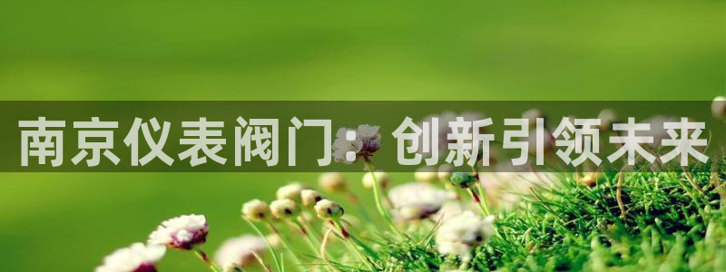 vip新宝gg