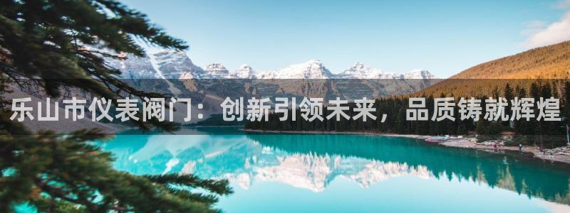 新宝 gg 下载