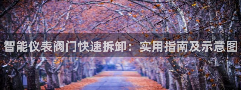 66新宝gg