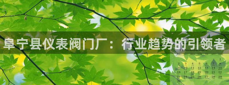 新宝gg平台首页