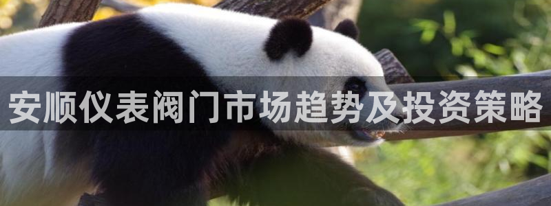 新宝gg登录注册