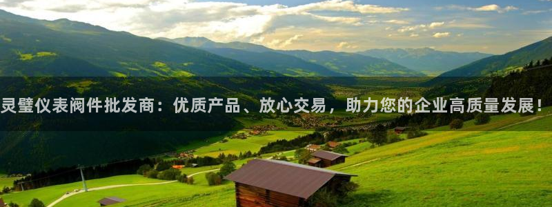 新宝gg 创造