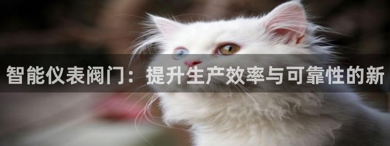 新宝gg娱乐怎么样