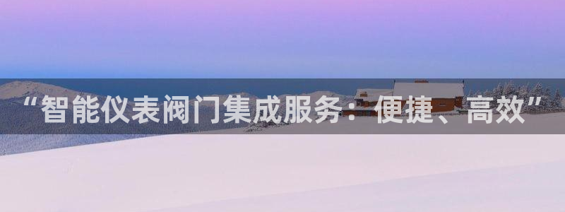新宝Gg测速地址