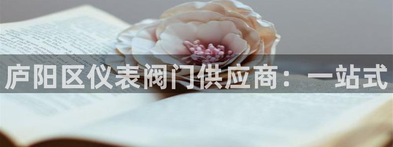 新宝gg注册网站