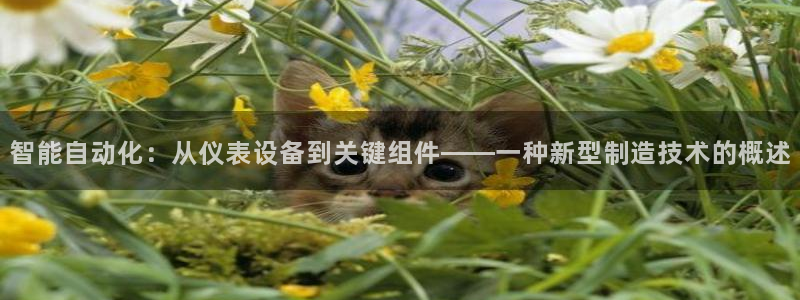 新宝gg招商42873