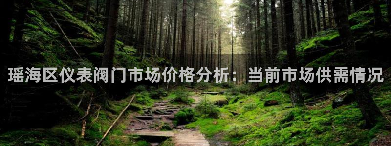 新宝gg挣钱