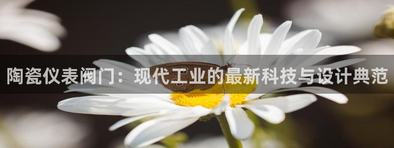 新宝gg创造奇迹