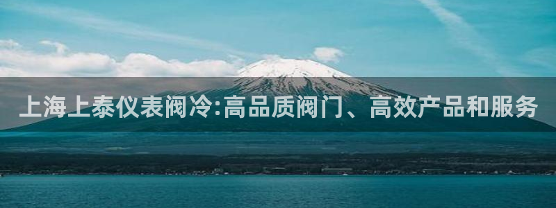 新宝gg平台下载安装