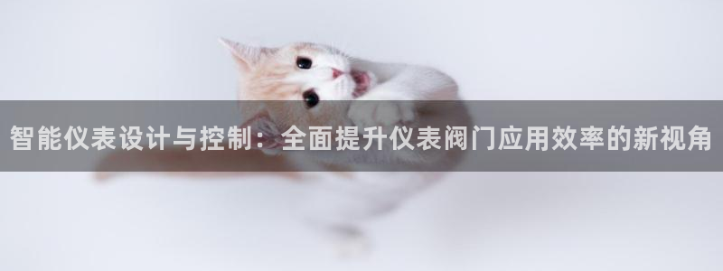 新宝gg什么