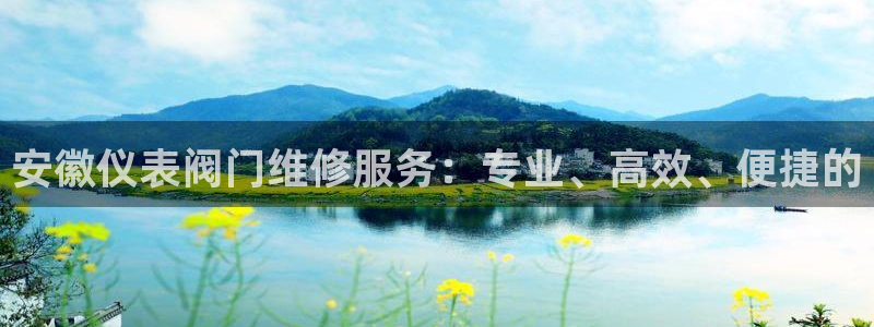 新宝gg登录页面