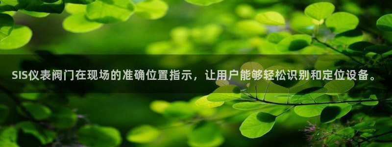 新宝gg游戏平台