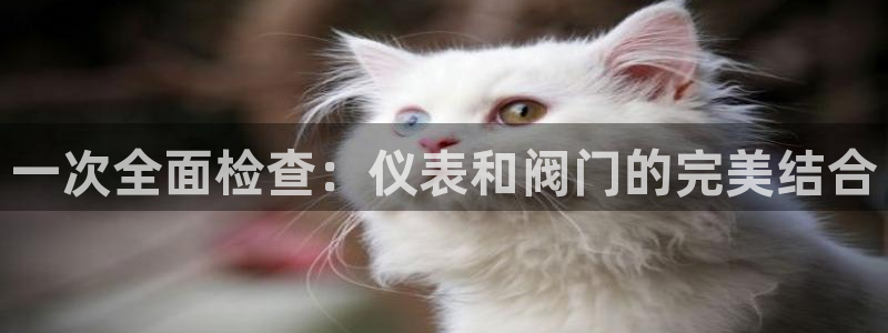 新宝gg如何