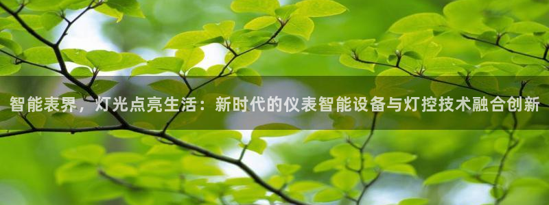 新宝gg如何