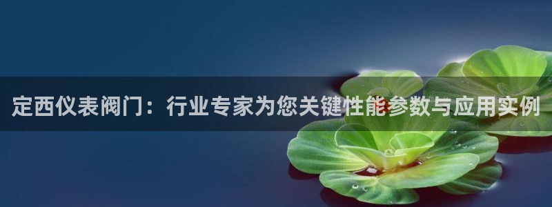 怎么下载新宝gg