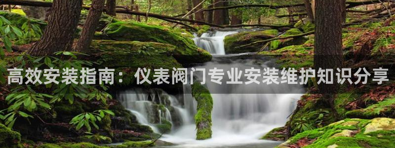 新宝gg怎样代理