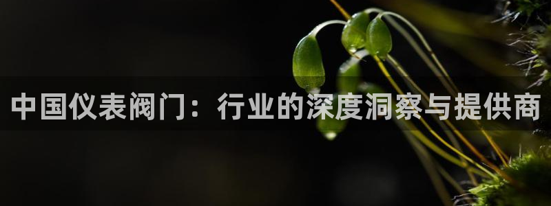 新宝gg好吗