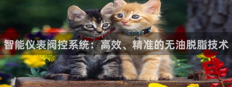 新宝gg注册q26880