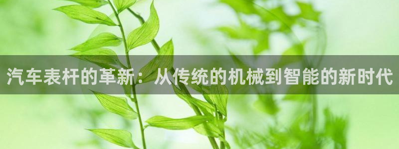 新宝gg cqdellar