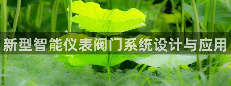 新宝gg总管