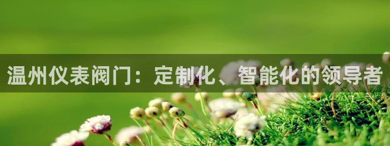 新宝gg龙虎