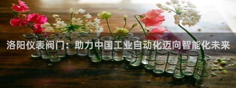 新宝gg平台
