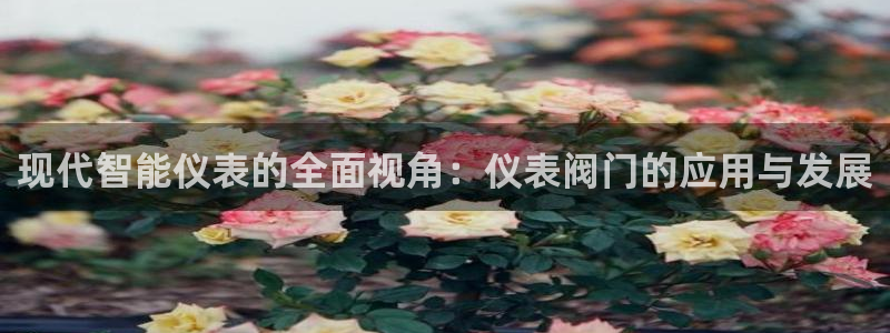 新宝gg主管、