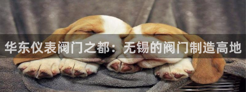 新宝gg app