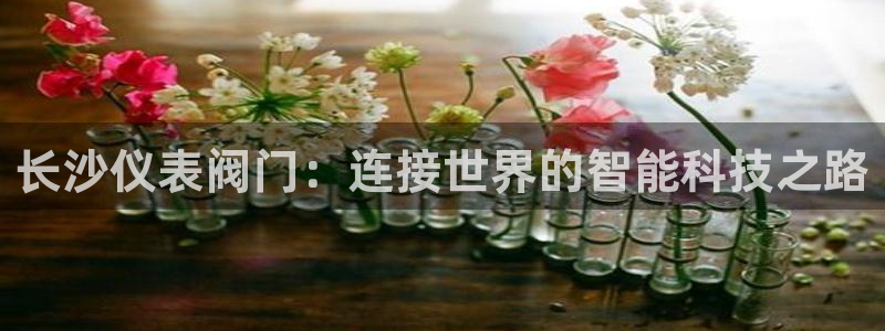 l新宝gg