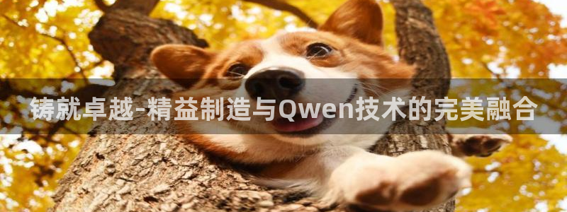 手机新宝gg