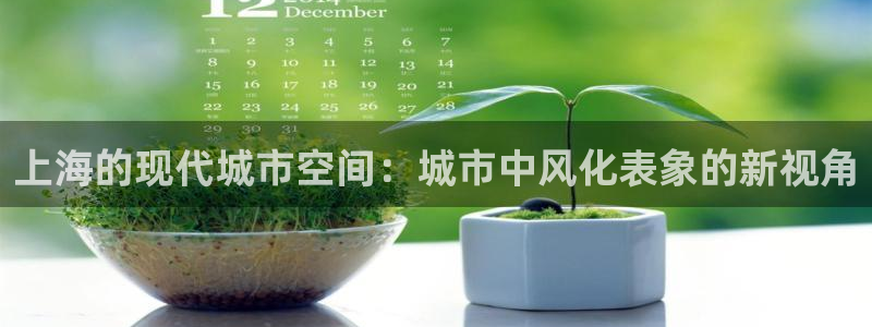新宝gg代理条件