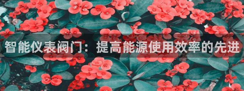 网站是新宝gg