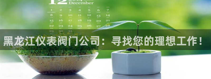 新宝gg主页