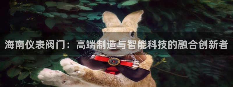 新宝gg 创