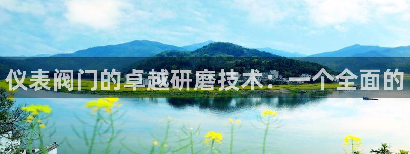 新宝GG用哪个网址登录