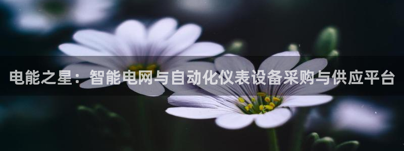 新宝gg怎么开户