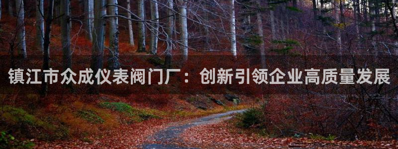新宝gg如何