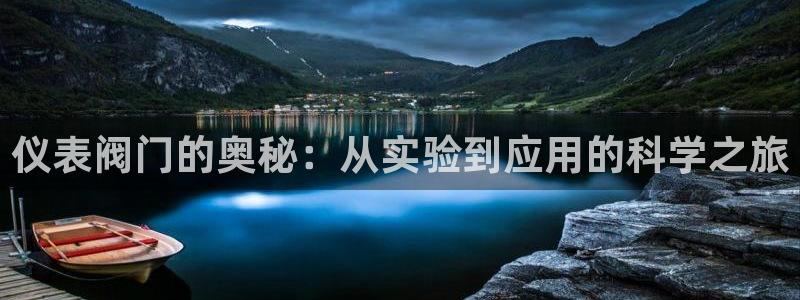 新宝gg介绍