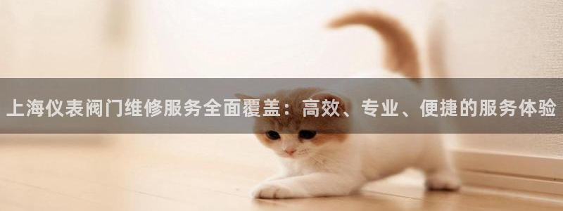 新宝GG苹果版